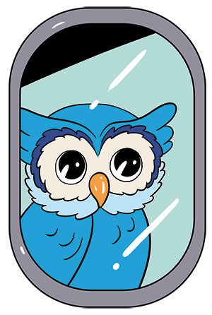 Owl in an airplane window