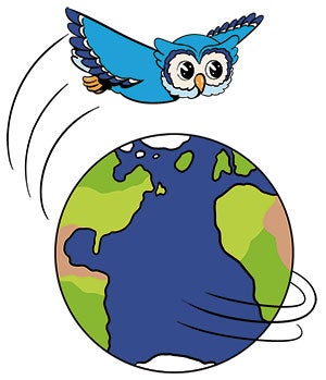 Owl flying around the globe