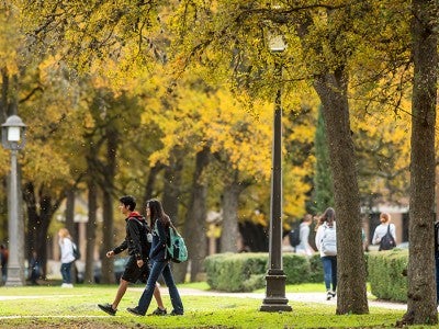 Rice campus in the fall with yellow leaves on the trees