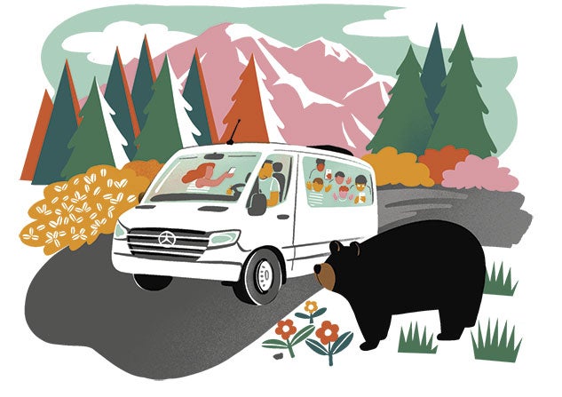Mercedes Van Illustration with bear in wilderness
