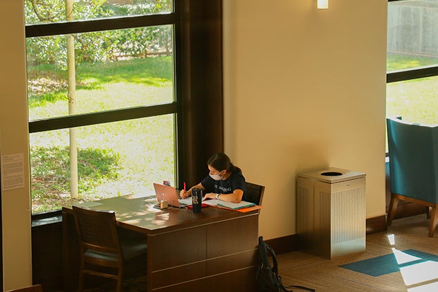Female student studying in in front of window