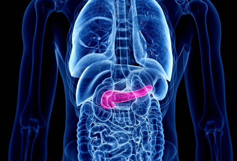 Imagery of pancreas