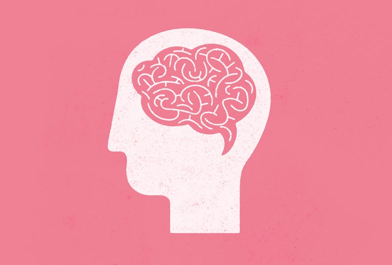 Illustration of the brain