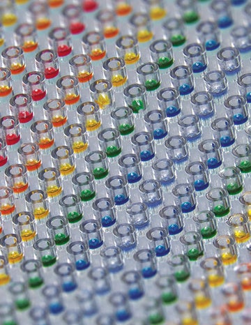 An array of hollow microparticles developed in the laboratory of Rice University bioengineer Kevin McHugh for timed-release drug delivery. The particles, which are shown loaded with colored dye, are small enough to fit through a standard hypodermic needle and designed to biodegrade over time, releasing their drug payload weeks or even months after injection.