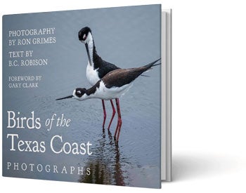 Book cover of Birds of the Texas Coast