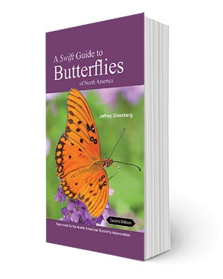 A Swift Guide to Butterflies