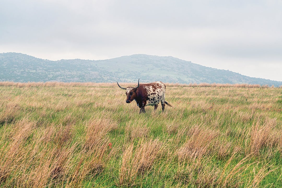 Rice scholars are developing new standards to make carbon sequestration a valuable property right for landowners.