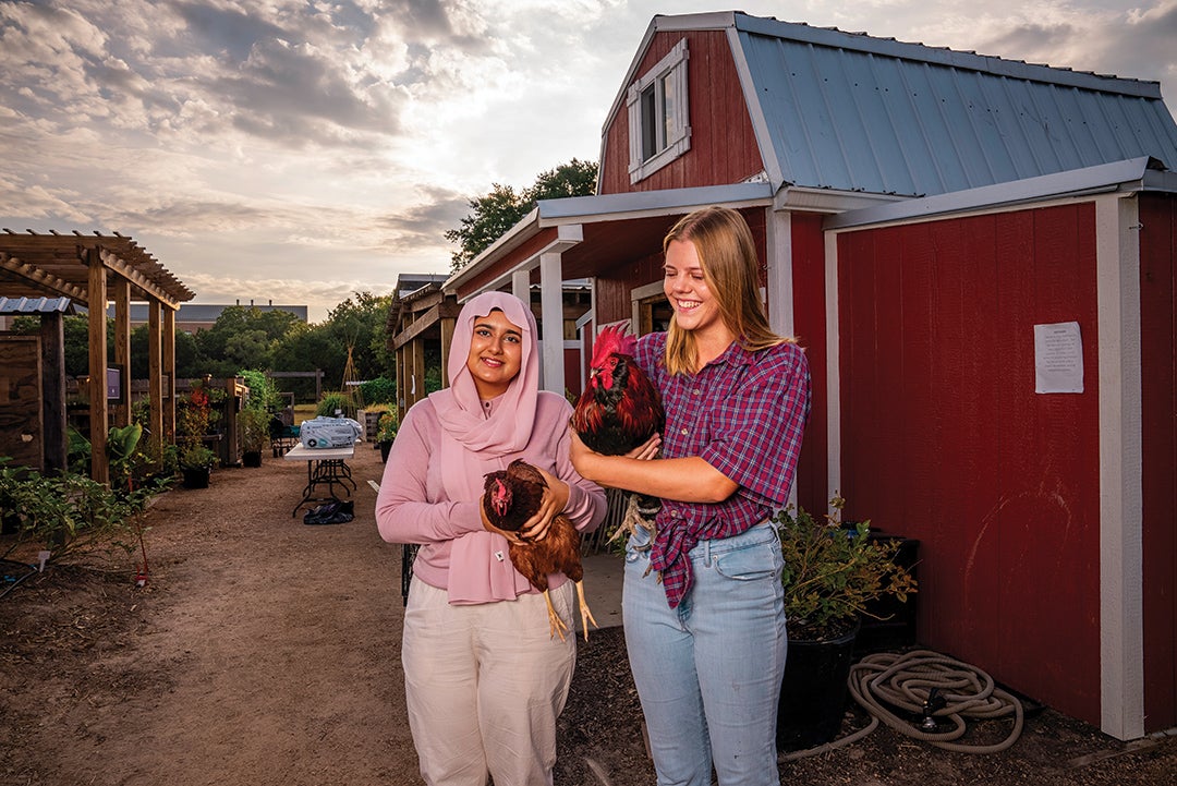 Intern Haaniya Mehrani, a junior, holds New Baby, one of the resident hens, and intern Karis Williams, a sophomore, holds the rooster, Big Red.  