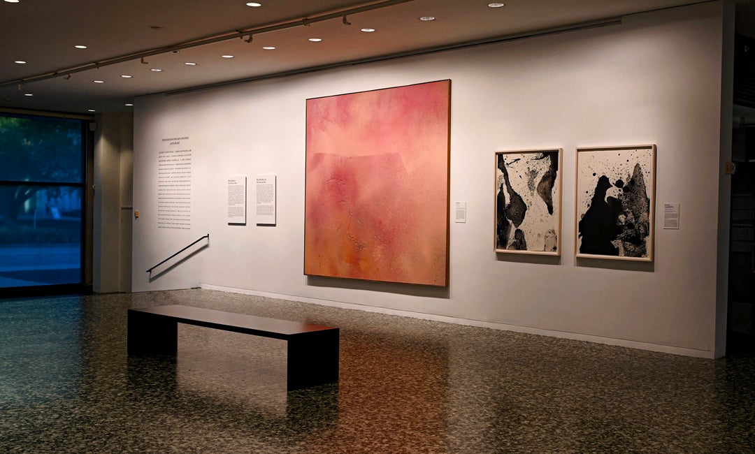 Photo of an exhibition at the Museum of Fine Arts, Houston.