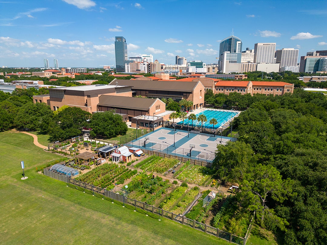 An aerial view of the garden