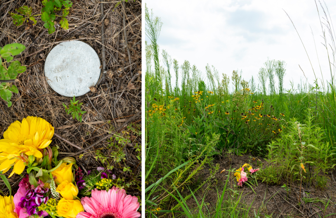 Photos of Trudy Catania's burial surrounded by native plants and topped with fresh cut daisies