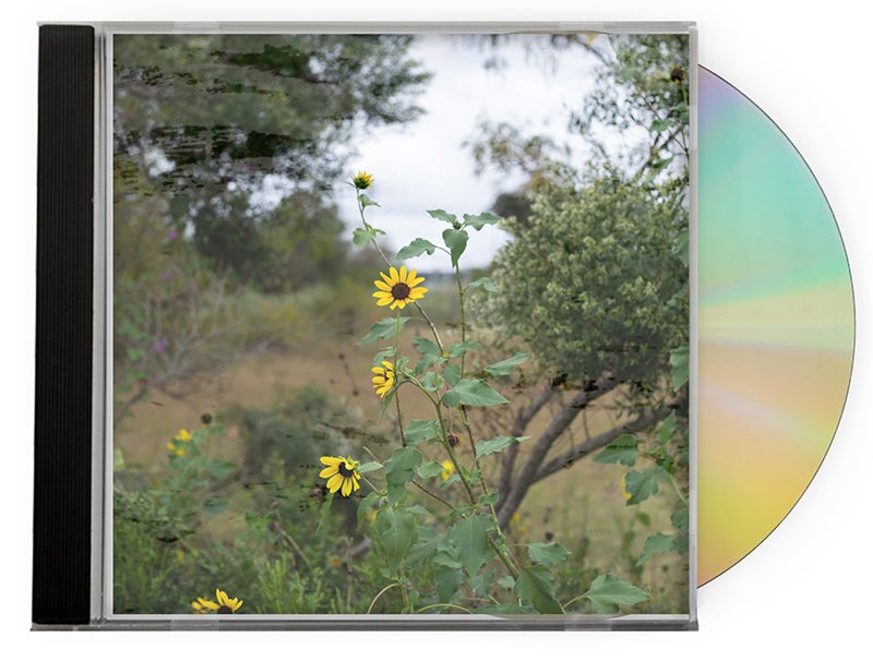 Album cover shows nondescript wooded area and some yellow flowers.