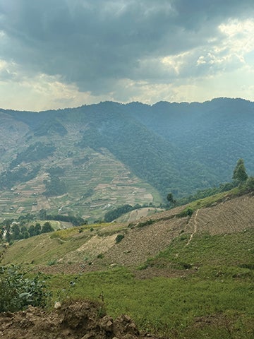 A protected area — the Bwindi Impenetrable National Park in Uganda — that is bordered by cropland.