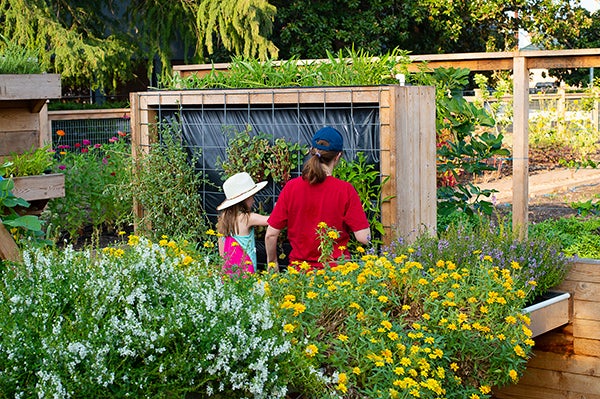 The Betty and Jacob Friedman Holistic Garden allows people of all ages and physical abilities to discover the benefits of planting and picking their own produce.