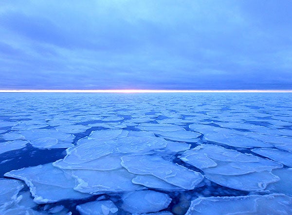 Ross Ice Shelf