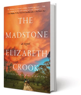 The Madstone book cover