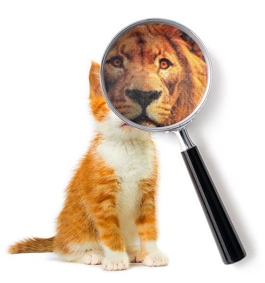 Photo illustration: a magnifying glass placed over a kitten reveals a lion