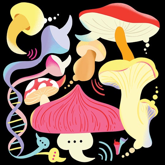 Illustration of mushrooms communicating with each other by Sol Cotti