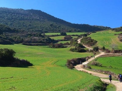 Spain’s Camino de Santiago