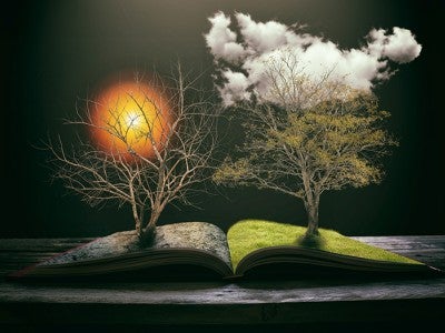 Syllabus: Is this the end?