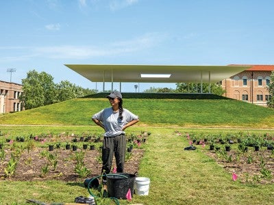 A pop-up prairie garden in the shadow of Rice’s Shepherd School of Music and adjacent to the Turrell Skyspace intends to exemplify what Houston’s future landscape could look like.