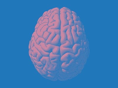 An engraving of a brain