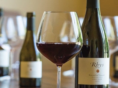 Rhys wines