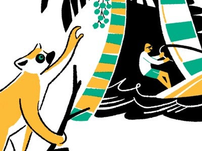 illustration of a Lemur