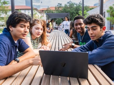 Students study in the quad
