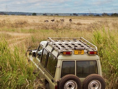 Syllabus: African Savanna Ecology and Paleoecology