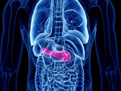 Pancreas