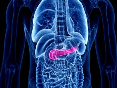 Imagery of pancreas