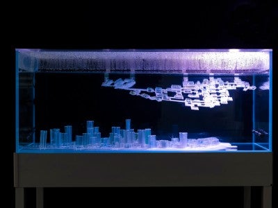 The sculpture made from polyethylene terephthalate (PET) plastics submerged in liquid enzymes designed to break it down