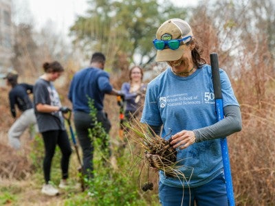 Photo of Cassidy Johnson replanting native wetland grasses
