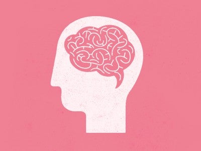 Illustration of the brain