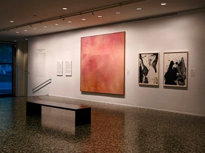 Photo of an exhibition at the Museum of Fine Arts, Houston.