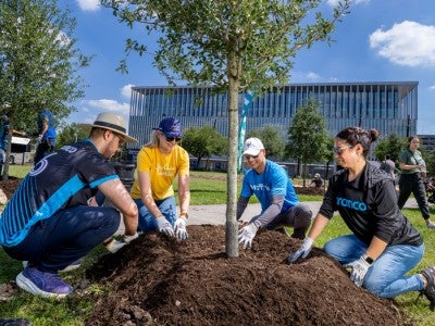 Photo of volunteers planting trees in front of the Ion building